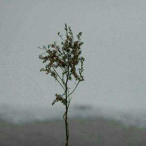 寺岛志保爆乳豊満在线播放
