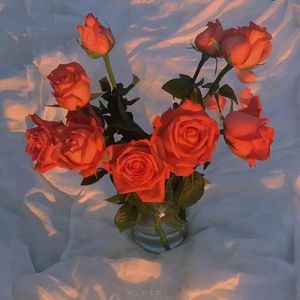 寺岛志保爆乳豊満在线播放
